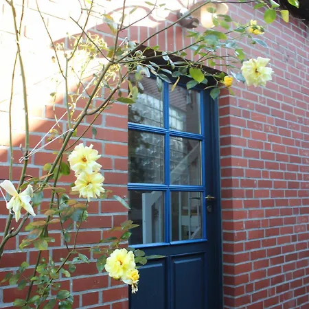 Tiny House - Kleines Glueck Auf Dem Ostedeich Semesterbostad *